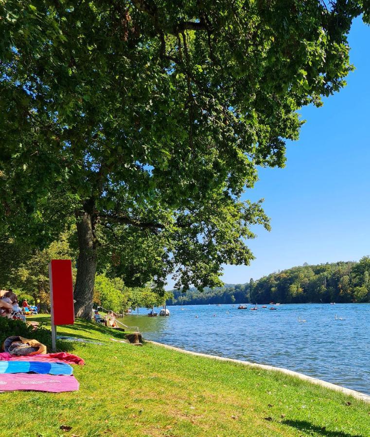 Ferienwohnung Rheinblick In Buesingen -Keine Monteure- Busingen Exterior foto