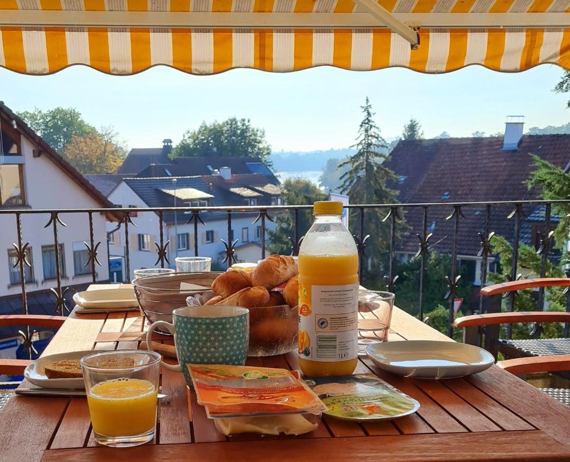 Ferienwohnung Rheinblick In Buesingen -Keine Monteure- Busingen Exterior foto