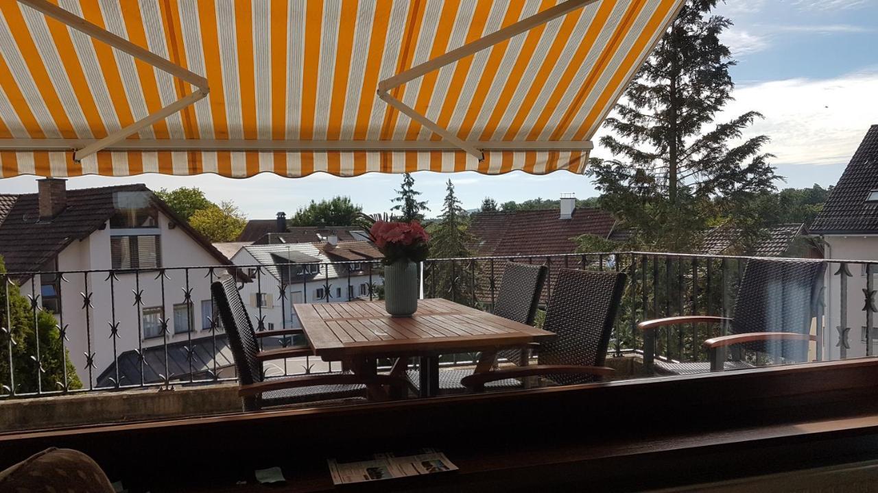 Ferienwohnung Rheinblick In Buesingen -Keine Monteure- Busingen Exterior foto