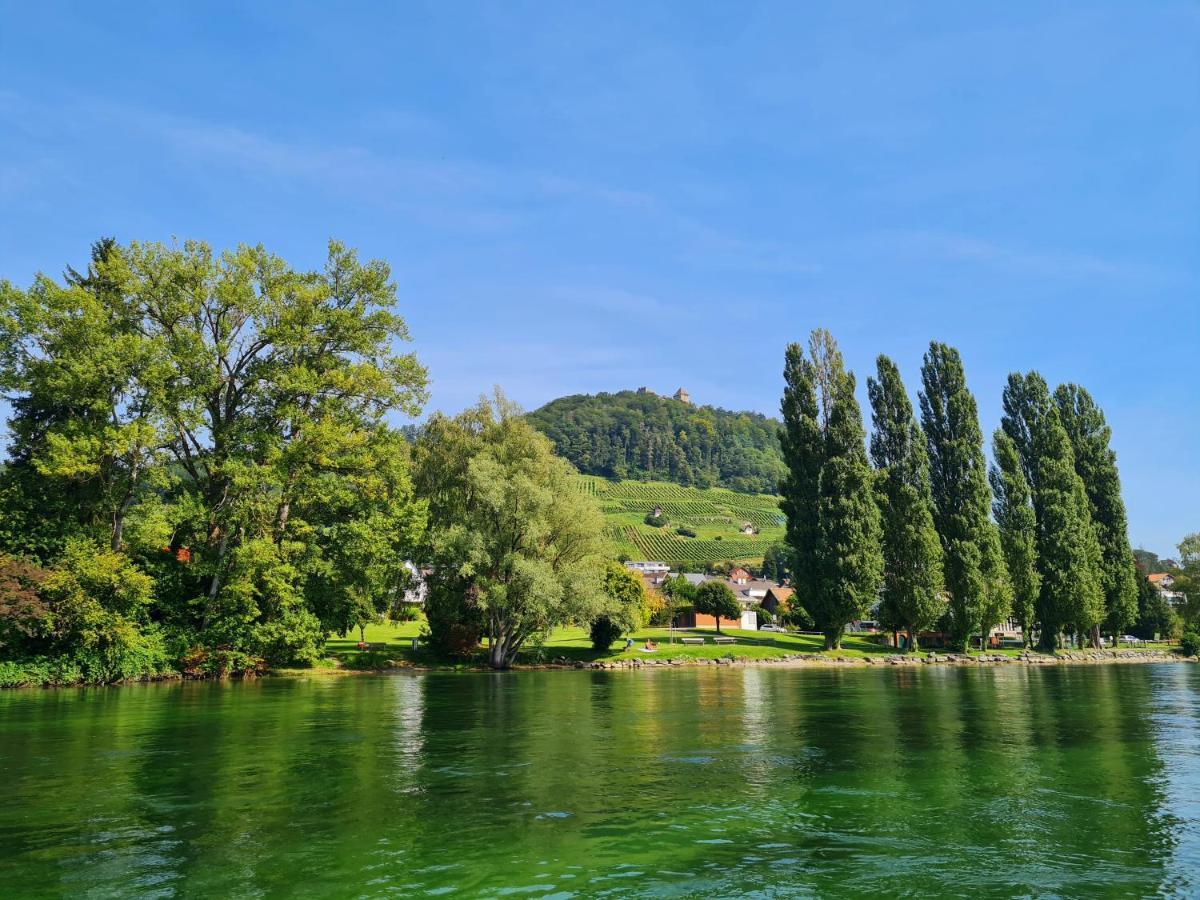Ferienwohnung Rheinblick In Buesingen -Keine Monteure- Busingen Exterior foto