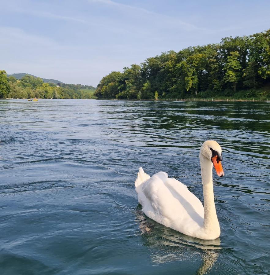 Ferienwohnung Rheinblick In Buesingen -Keine Monteure- Busingen Exterior foto