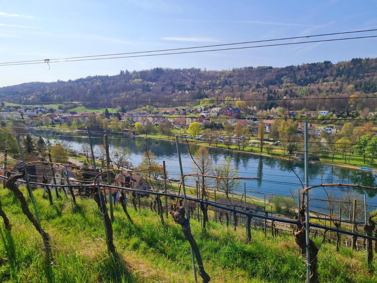 Ferienwohnung Rheinblick In Buesingen -Keine Monteure- Busingen Exterior foto
