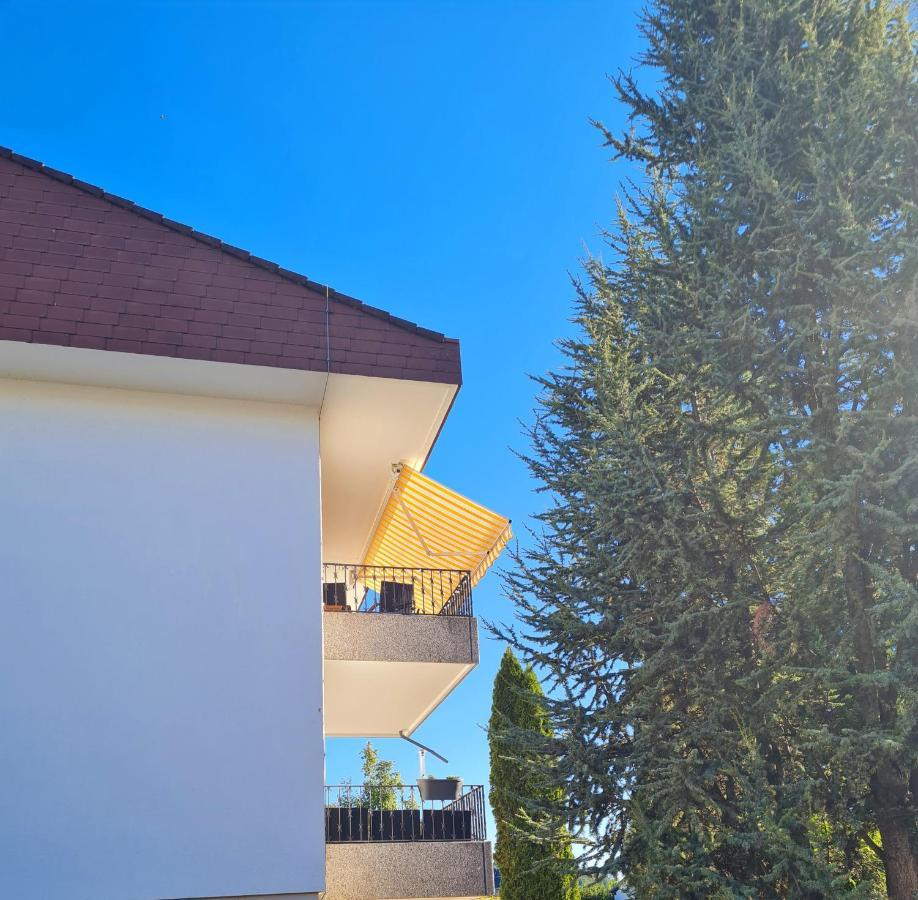 Ferienwohnung Rheinblick In Buesingen -Keine Monteure- Busingen Exterior foto